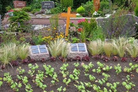 Grab auf dem Wickrather Friedhof mit Kräuter und Stauden