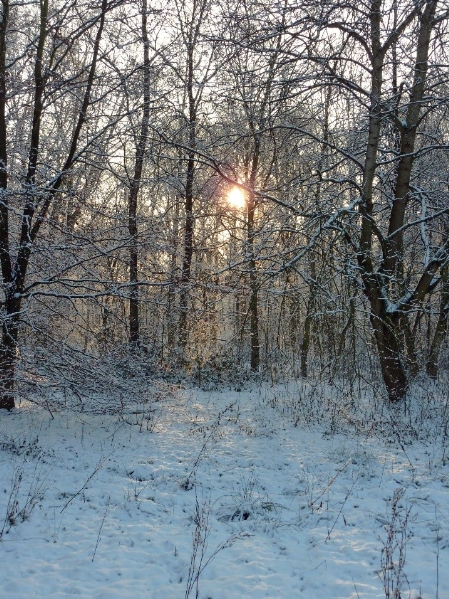 Winterlich verschneite Landschaft mit Sonnenuntergang